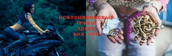 каннабис Верея