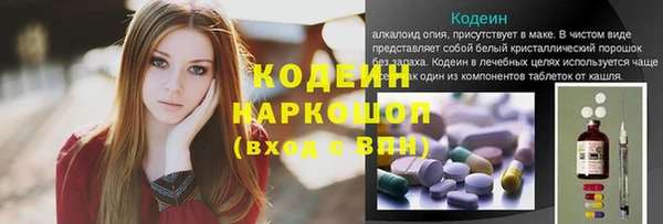 ПСИЛОЦИБИНОВЫЕ ГРИБЫ Верхний Тагил