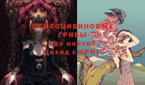 мет Бородино