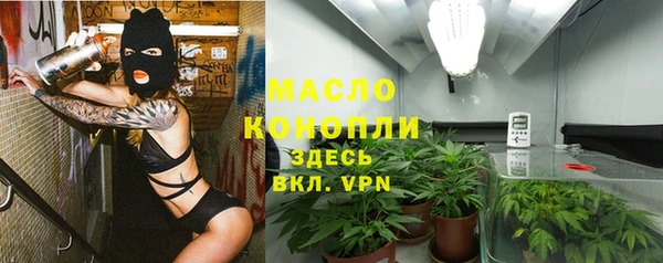 мет Бородино