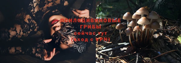 ПСИЛОЦИБИНОВЫЕ ГРИБЫ Верхний Тагил