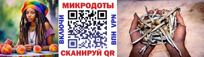 kraken ссылки  Окуловка  Псилоцибиновые грибы Cubensis 